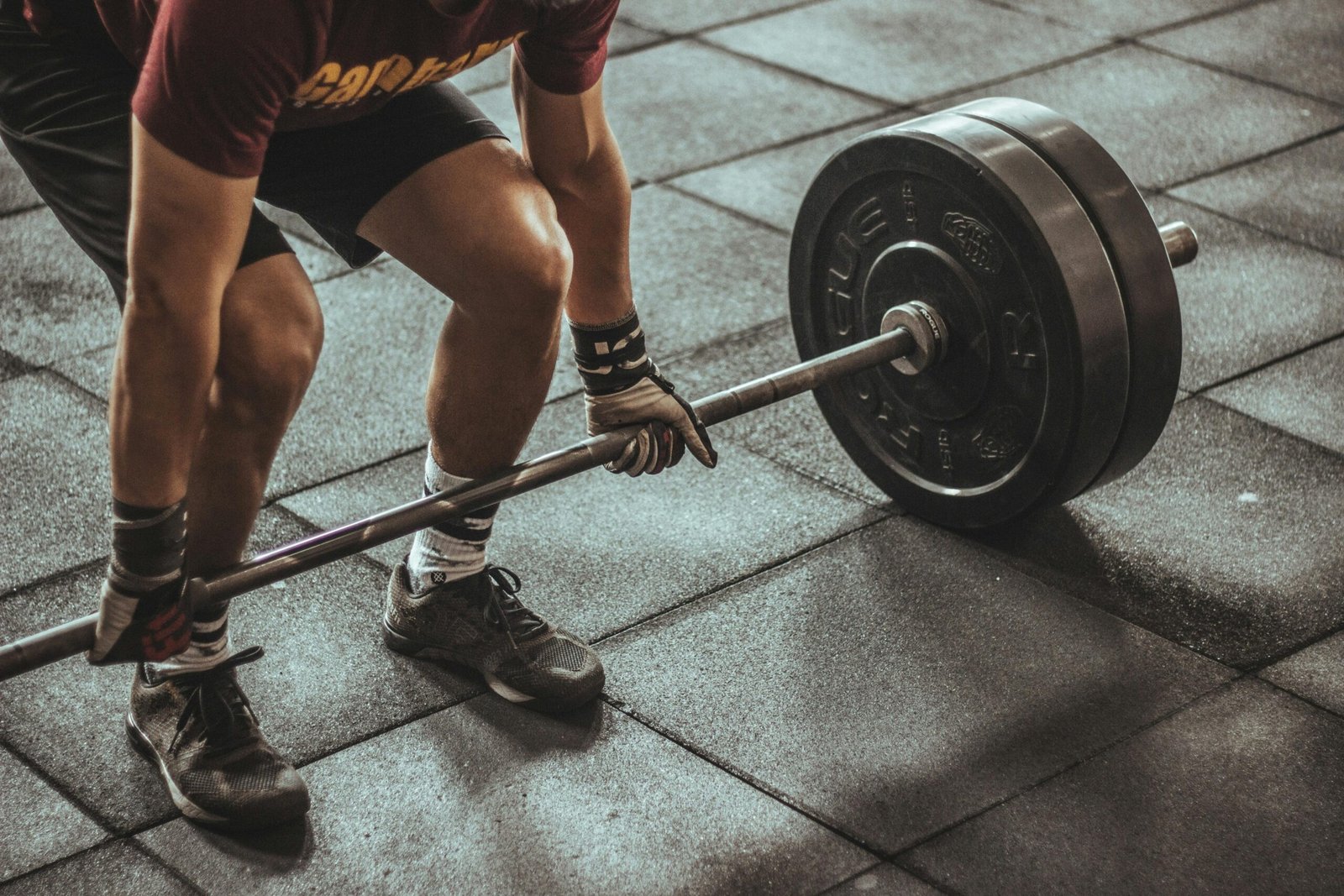 Ultimate Gym Workout for Weight Loss Beginners